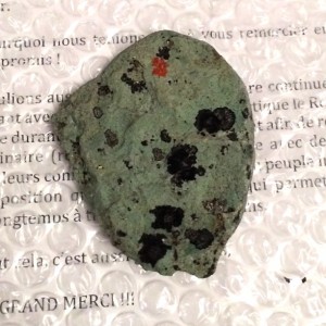 caillou-vivant.jpg (99.62 Kio) Consulté 11913 fois Caillou vivant